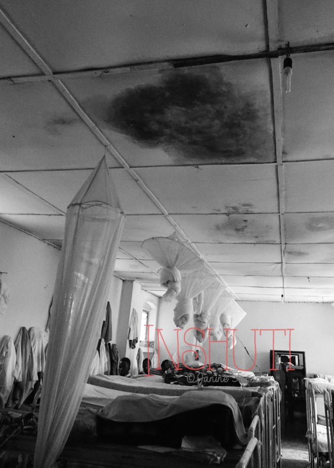 Inshuti@JanineFrönd (2)