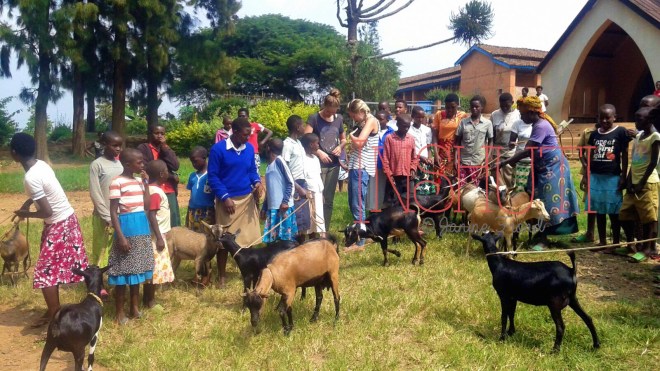 Inshuti@JanineFrönd (4)