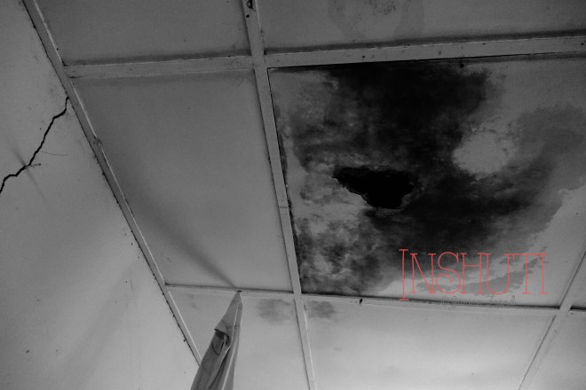 Inshuti@JanineFrönd