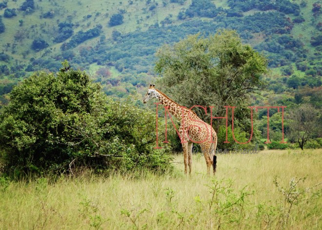 Akagera@JanineFrönd 2