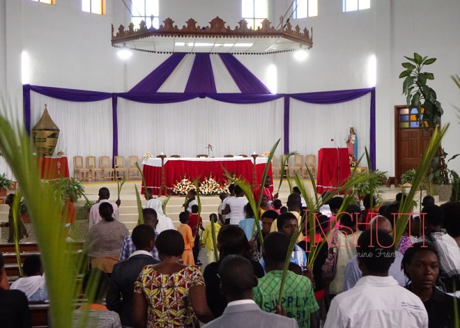 DSC09465 - Arbeitskopie 2