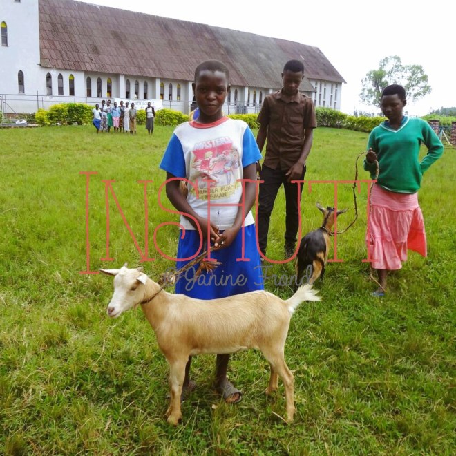 Processed with MOLDIV