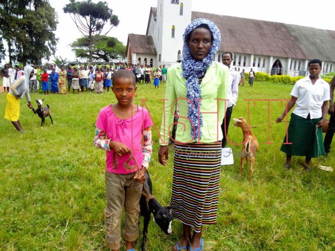 Processed with MOLDIV