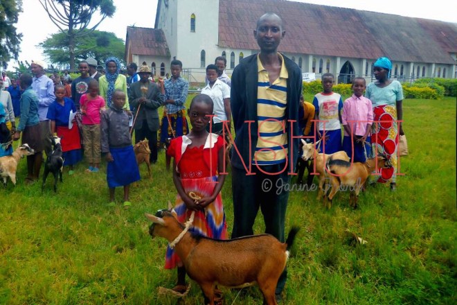 Processed with MOLDIV