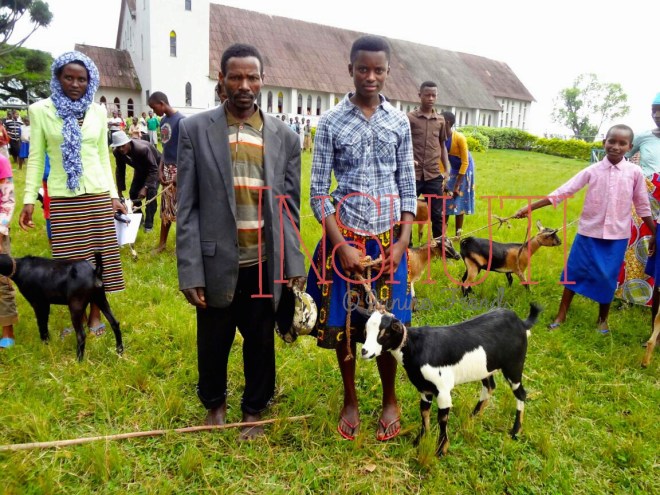 Processed with MOLDIV