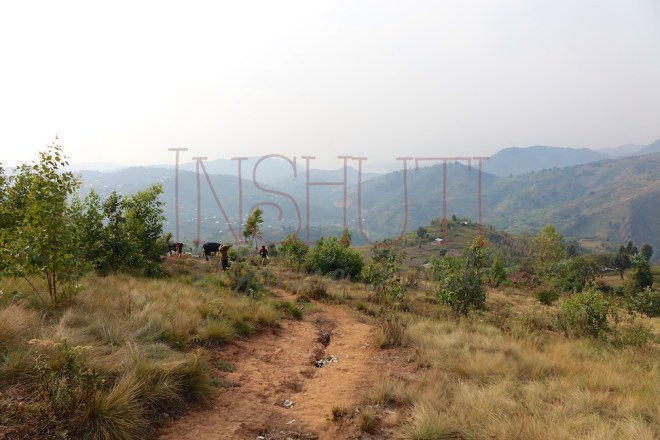 dsc08682-arbeitskopie-2