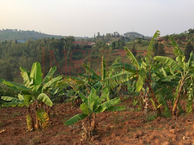 img_2623-arbeitskopie-2