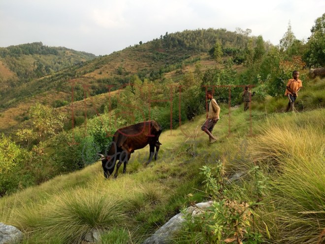 img_2753-arbeitskopie-2