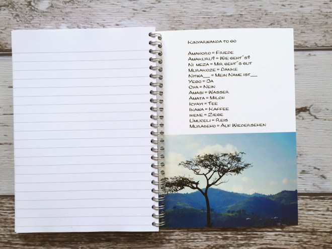 Processed with MOLDIV